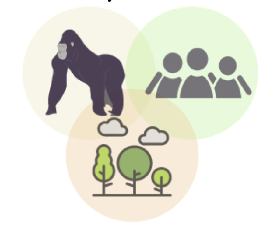 Mission & Vision Image